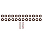 Fel-Pro Jeep Grand Cherokee SS 73055 Engine Valve Stem Oil Seal Set
