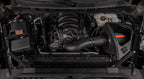 K&N 2019+ Chevrolet Silverado 1500 V8 5.3L/6.2L F/L NextGen DryFlow