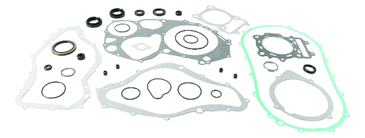 QuadBoss 00-02 Arctic Cat 500 4x4 AT Complete Gasket Set w/ Oil Seal