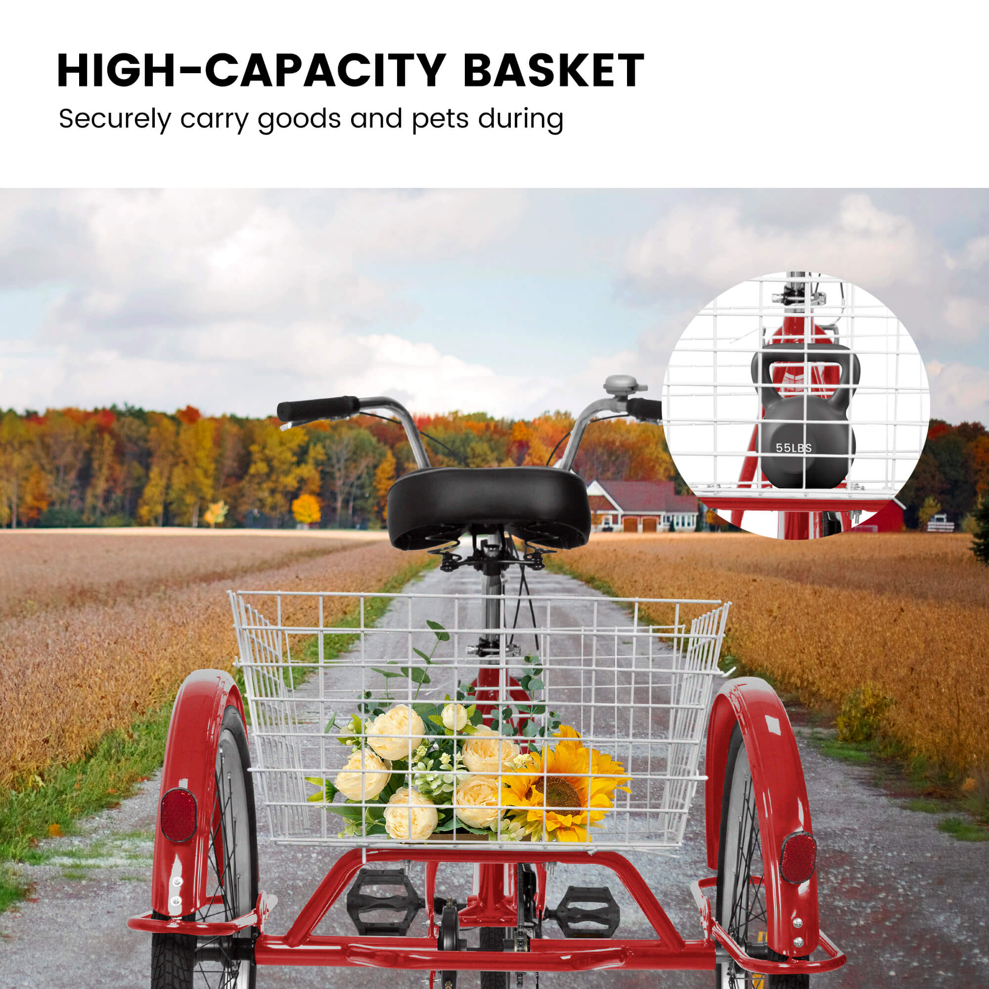 Ecarpat 24“ Single-Speed Adult Tricycle