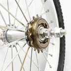 16T Single Speed Bike Freewheel