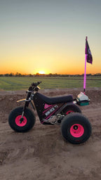 Game Changer LED Whip Set - Malibu Barbie Pink