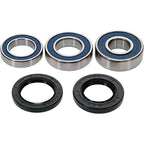 All Balls Racing Wheel Bearing Kit
