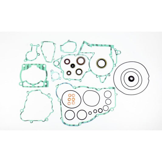 Athena 14-15 Beta RR 250 2T Complete Gasket Kit (Incl Oil Seals)