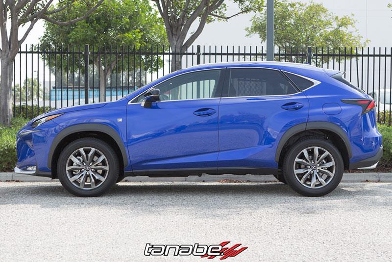 Tanabe NF210 Springs 15-16 Lexus NX200T F-Sport FWD