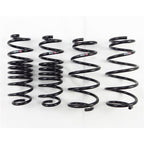 RS-R 2011-2016 Honda CR-Z (ZF1) Down Sus Springs