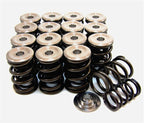 GSC P-D Honda B-Series Vtec Dual Spring Set and Titanium Retainer