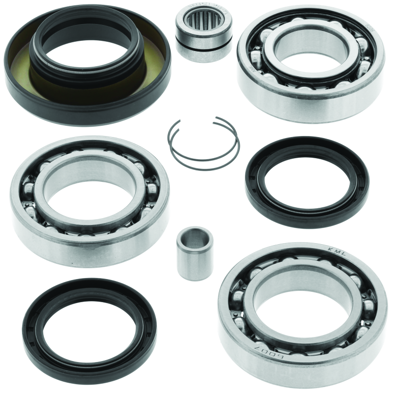 QuadBoss 02-03 Honda TRX400FW FourTrax Foreman 4x4 Rear Differential Bearing & Seal Kit