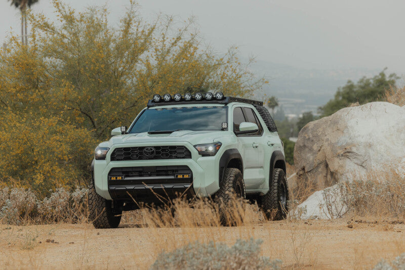 DV8 25-26 Toyota 4Runner Exterior Window Molle for DV8 Roof Rack - Driver
