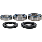 All Balls Racing Wheel Bearing Kit