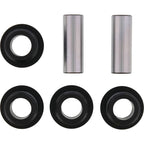 All Balls Racing Rear Ind. Suspension Kit