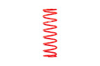 Eibach 8in L x 1.88in ID ERS Linear Main Spring - 55 lbs/in