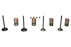 Wiseco 11-16 KX250F Steel Valve Set