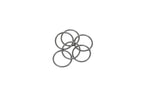 Radium Engineering O-Ring Service Kit - 25mm Injector Seat - Set of 6