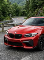 BMW 2 Series M2 F87 Carbon Fiber Front Flaps (2014 - 2021)