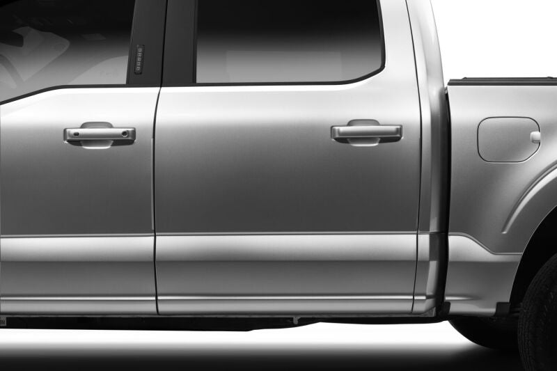 Husky Liners 21-25 Ford F150 Door Edge Guards (4pc Set) - Dark Mattery Gray PC