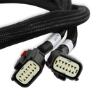 GM Gen V Gdi Early, Sub Harness