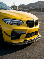 BMW 2 Series F87 M2/M2C K2 Carbon Fiber Front Lip (2016 - 2019)