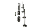 Wiseco 02-06 CRF450R Steel Valve Set