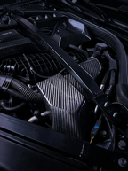 BMW 3/4 Series G80/G81/G82/G83/G87 Carbon Fiber ECU Cover (2021+)