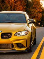 BMW  1 & 2 Series F20 F21 F22 F32 F87 M135i M140i M Style Carbon Fiber Side Mirror Covers (2012 - 2019)