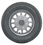 Yokohama BluEarth-Van All Season RY61 225/55R17C