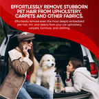 Anniversary Special All-in-One Bundle by Sud Factory