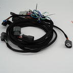 K20 K24 K-Swap Conversion Wiring Harness EG Civic Integra K Series Honda Acura - Bull Boost Performance