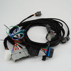 K20 K24 K-Swap Conversion Wiring Harness EG Civic DC2 Integra 92-00 Honda Acura - Bull Boost Performance