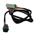 H Series Chassis Specific Adapter Harness F Series 99-00 EK For Honda Civic Si - Bull Boost Performance
