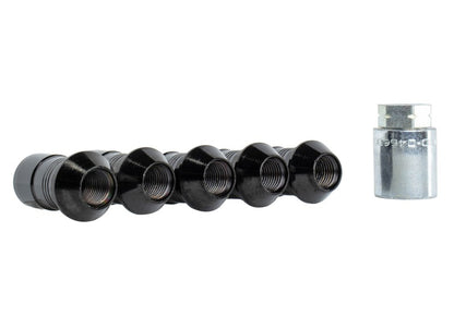 Ford Racing 2023+ Ford Bronco Raptor  M14 x 1.5 Black Security Lug Nut Kit - Set of 5