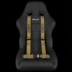 4 PT - Racing Harness 2” Strap