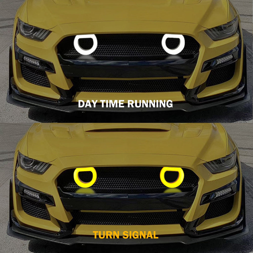 2015-2017 Mustang GT500 Front Bumper Painted