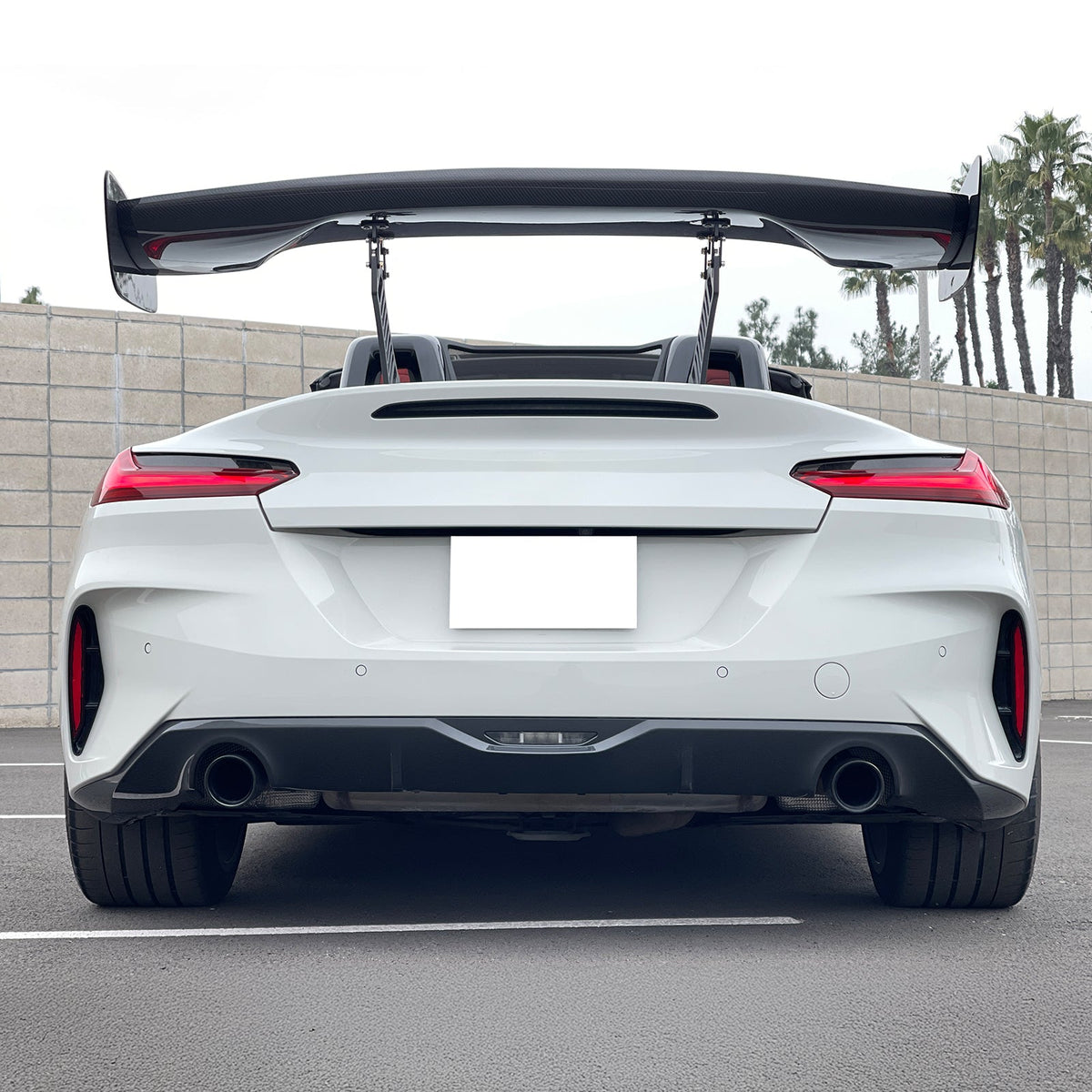 57'' 12" Height Drag Trunk Spoiler V2 Side Plates V3 Legs Carbon Fiber