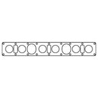 Cometic Jaguar XK6 .060in AFM Intake Manifold Gasket - With Straight Port Heads