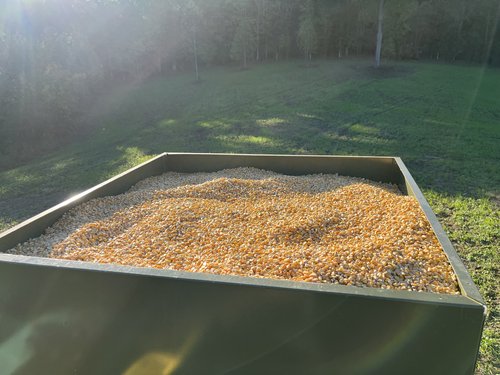 Coonless Deer Feeder