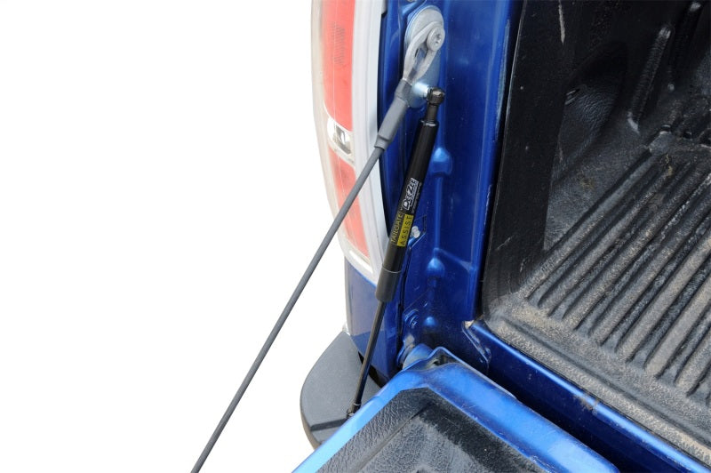 Dee Zee 04-14 Ford F150 Tailgate Assist Shock