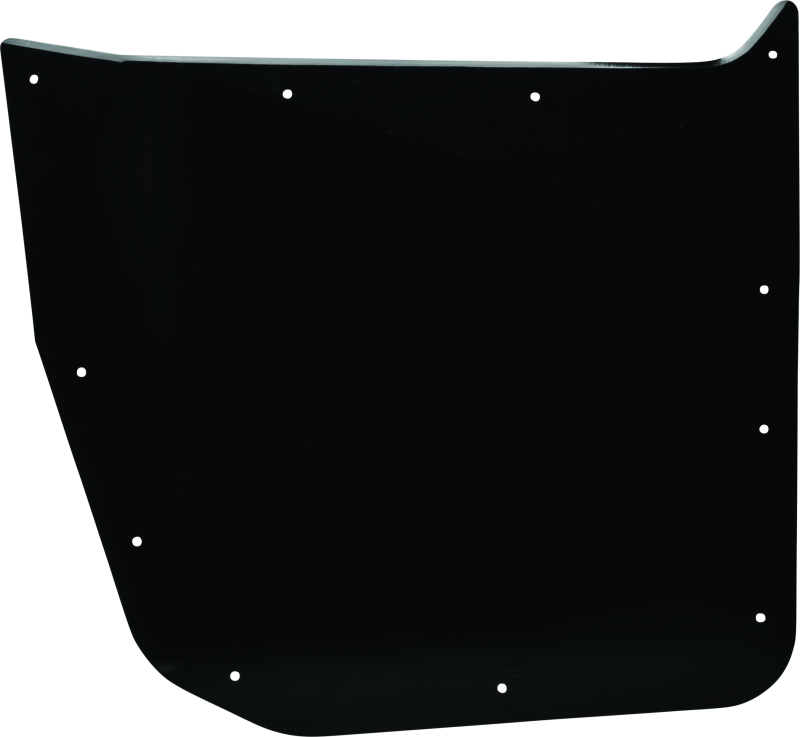 DragonFire Racing Front Passenger Door Skin For 520864/521065