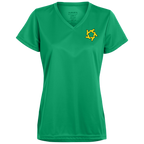 YSR Ladies’ Moisture-Wicking V-Neck Tee