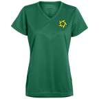 YSR Ladies’ Moisture-Wicking V-Neck Tee