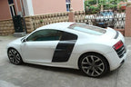 Audi R8 V8 / V10 Coupe Carbon Fiber Door Side Panel Blades 2008 - 2015