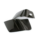 Audi R8 V8 / V10 Coupe Carbon Fiber Door Side Panel Blades 2008 - 2015