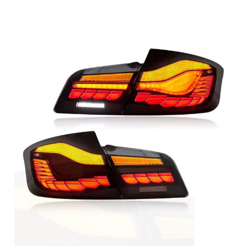 Dragon Scale LED Tail Lights for BMW 5 Series F10/F18 2011-2017