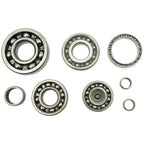 Hot Rods 16-21 Pioneer 500/07-21 TRX 420 FE/07-21 TRX 420 FM Transmission Bearing Kit