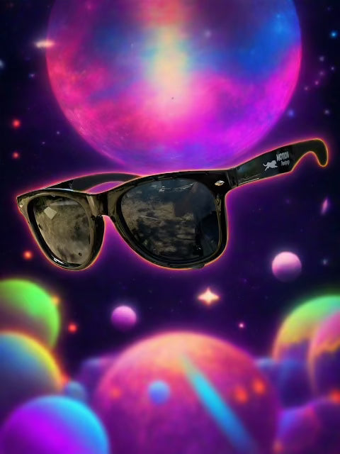 Classic Black Sunnies by Motion Factory