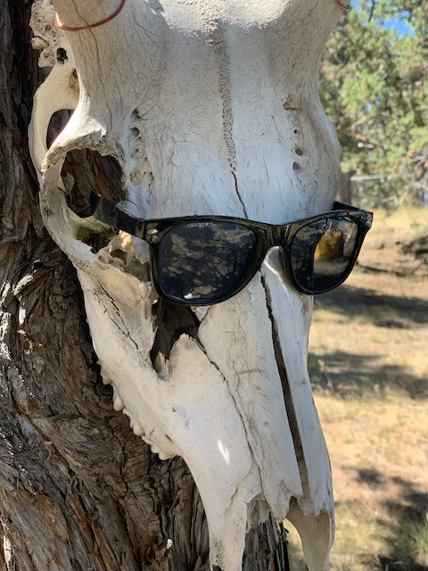 Classic Black Sunnies by Motion Factory