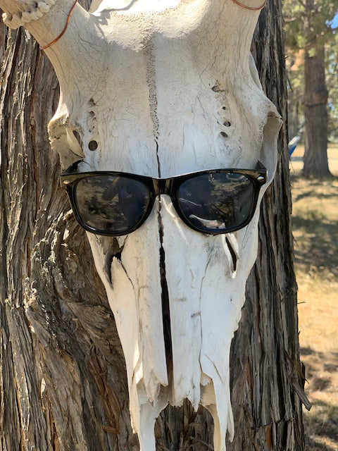 Classic Black Sunnies by Motion Factory