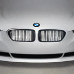 ABS Front Grille For 2017-2020 BMW G30 530i/ 540i/ M550i | Palenon Performance