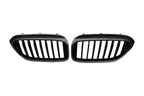 BMW 5 Series G30 Carbon Fiber Front Grille (2017+)