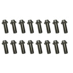 Kooks Ford 5.0L 4V Coyote Engine Header Bolt Kit (Fine Thread) QTY. 16 - M10 - 1.25 x 25mm Bolts